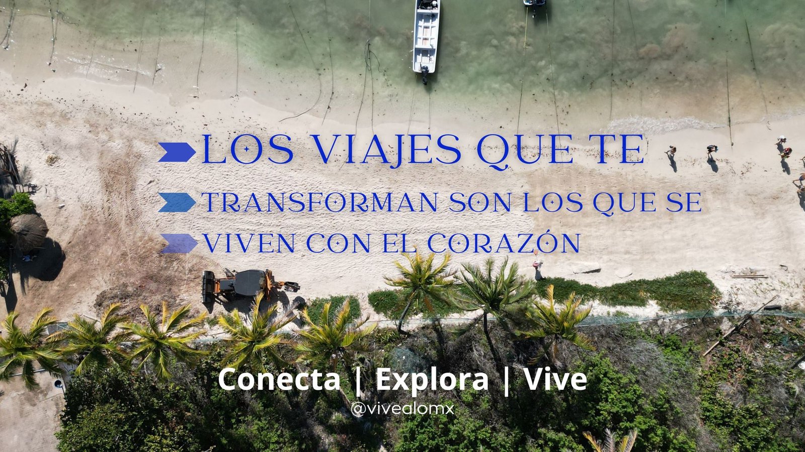 Vivealo: Mucho más que un Viaje, un Ecosistema Impulsado por la Tecnología