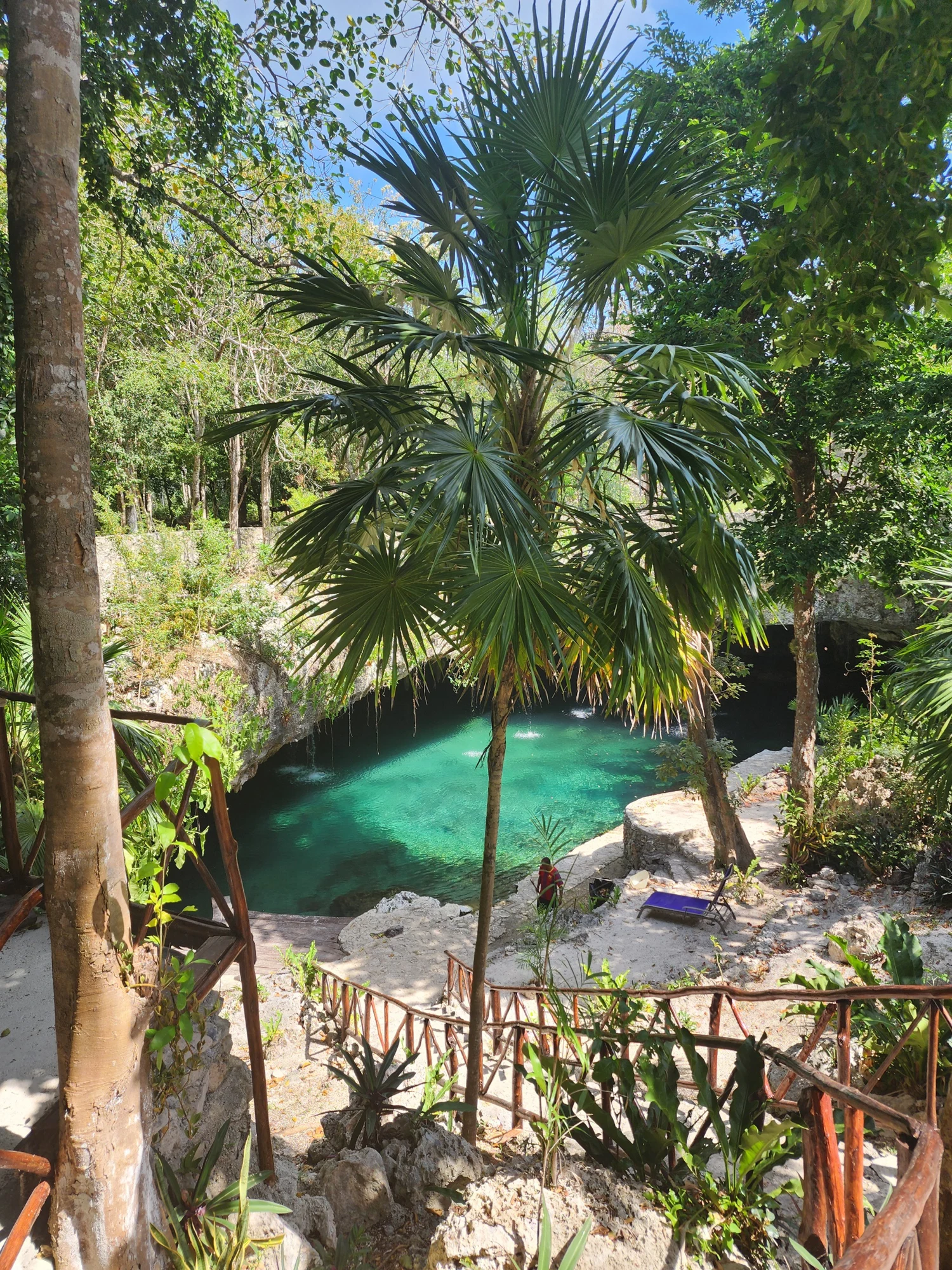 Cenote virgen en la Riviera Maya